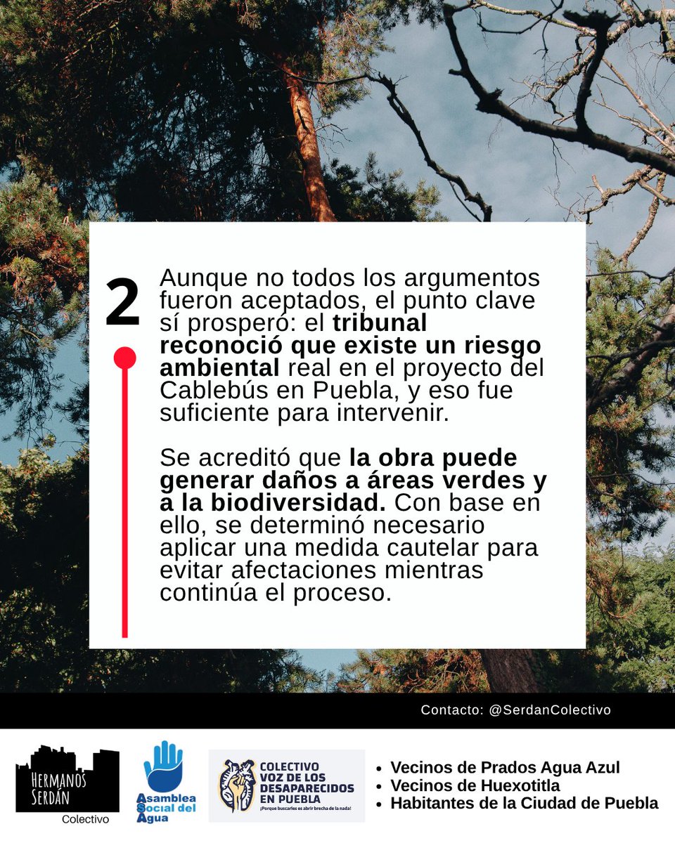 Colectivo Hermanos Serdán tweet media