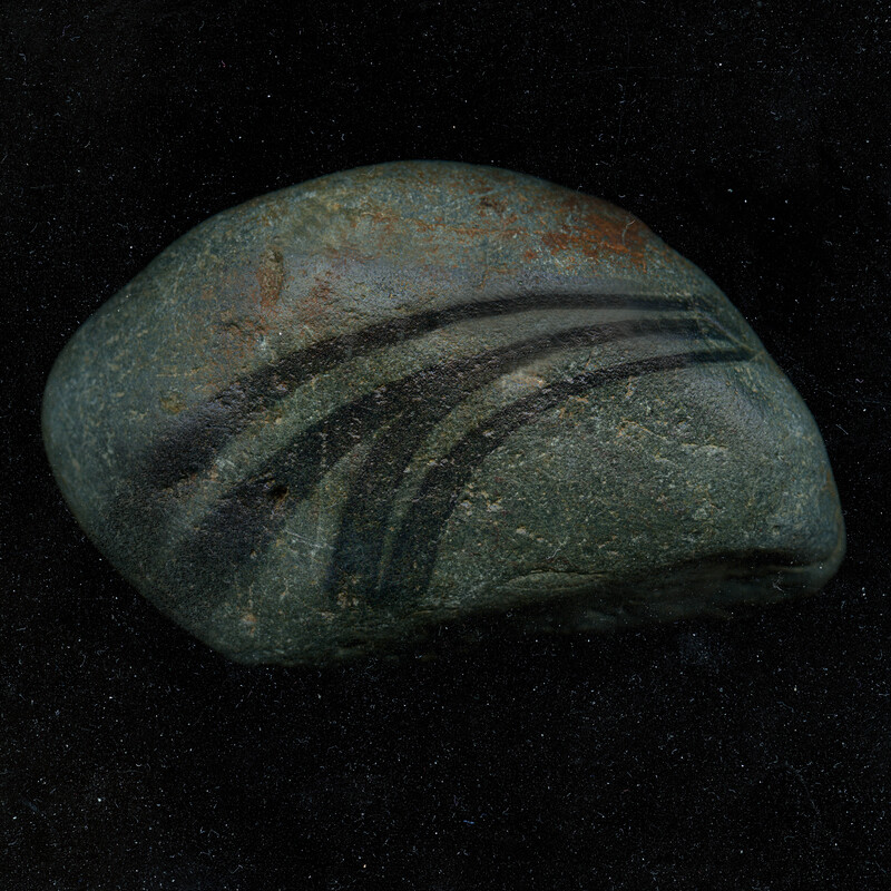 オトトイ tweet media