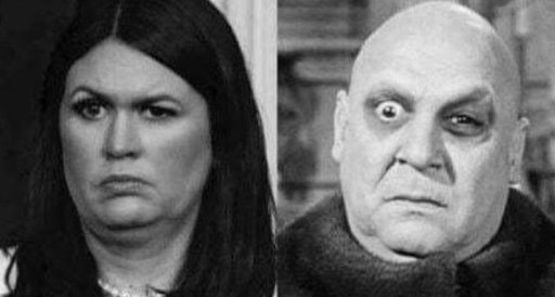 Brown Eyed Susan tweet media