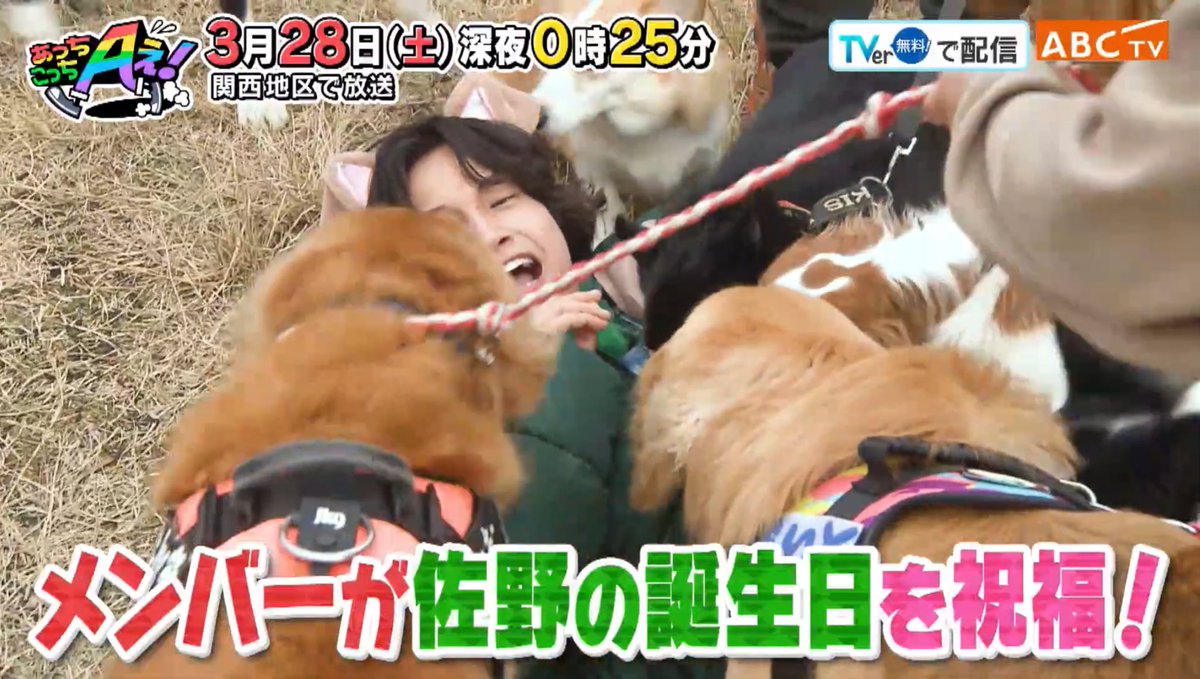 マイナスイオン放出ムービー