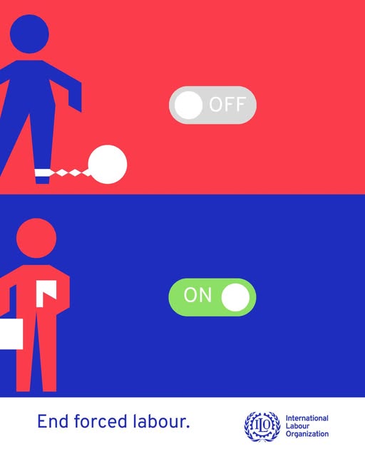 International Labour Organization tweet media