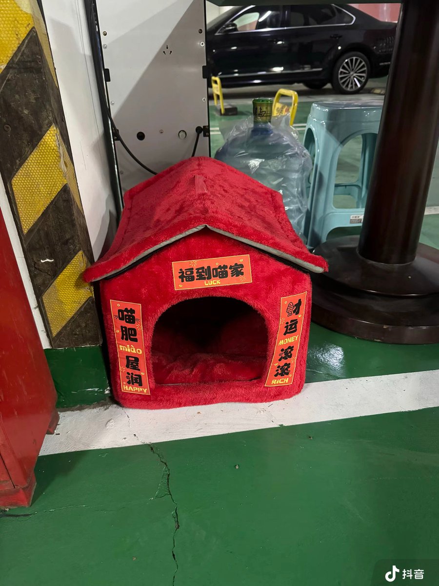 ৎ୭Luz🌸 tweet media