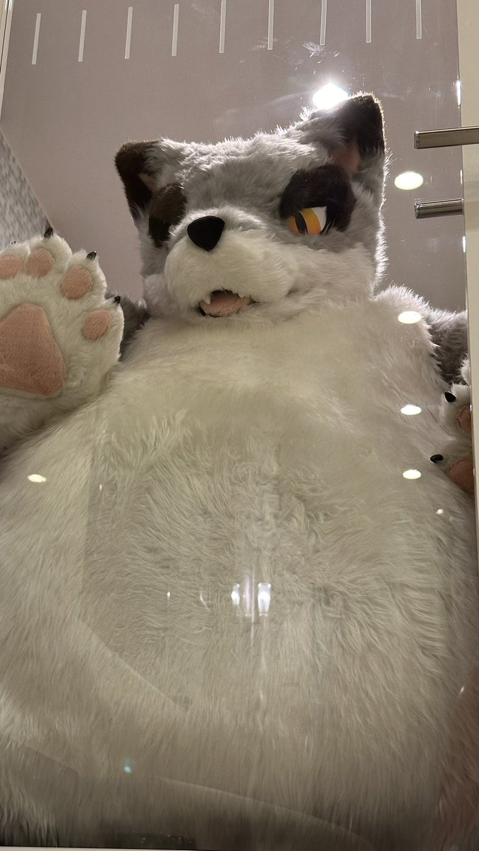 うらい tweet media