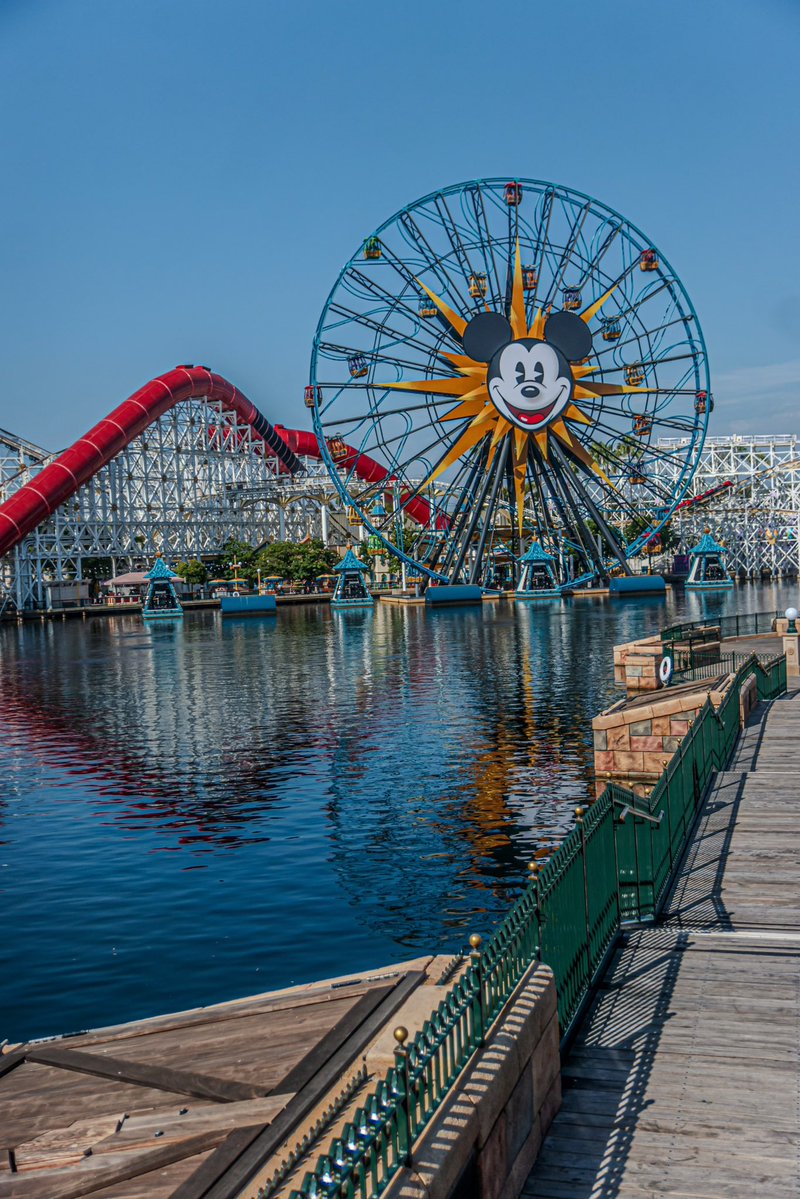 Streaming The Magic tweet media