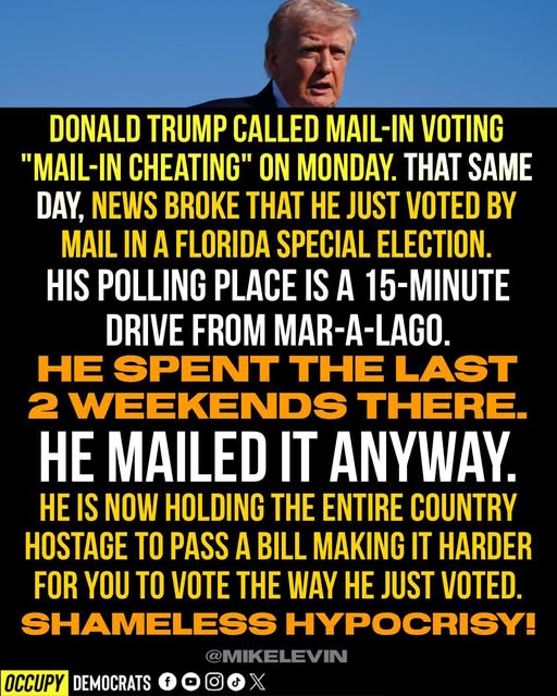 Poppy 💫🇦🇺☮🍅🥒🥕🥭🍊🍋 tweet media