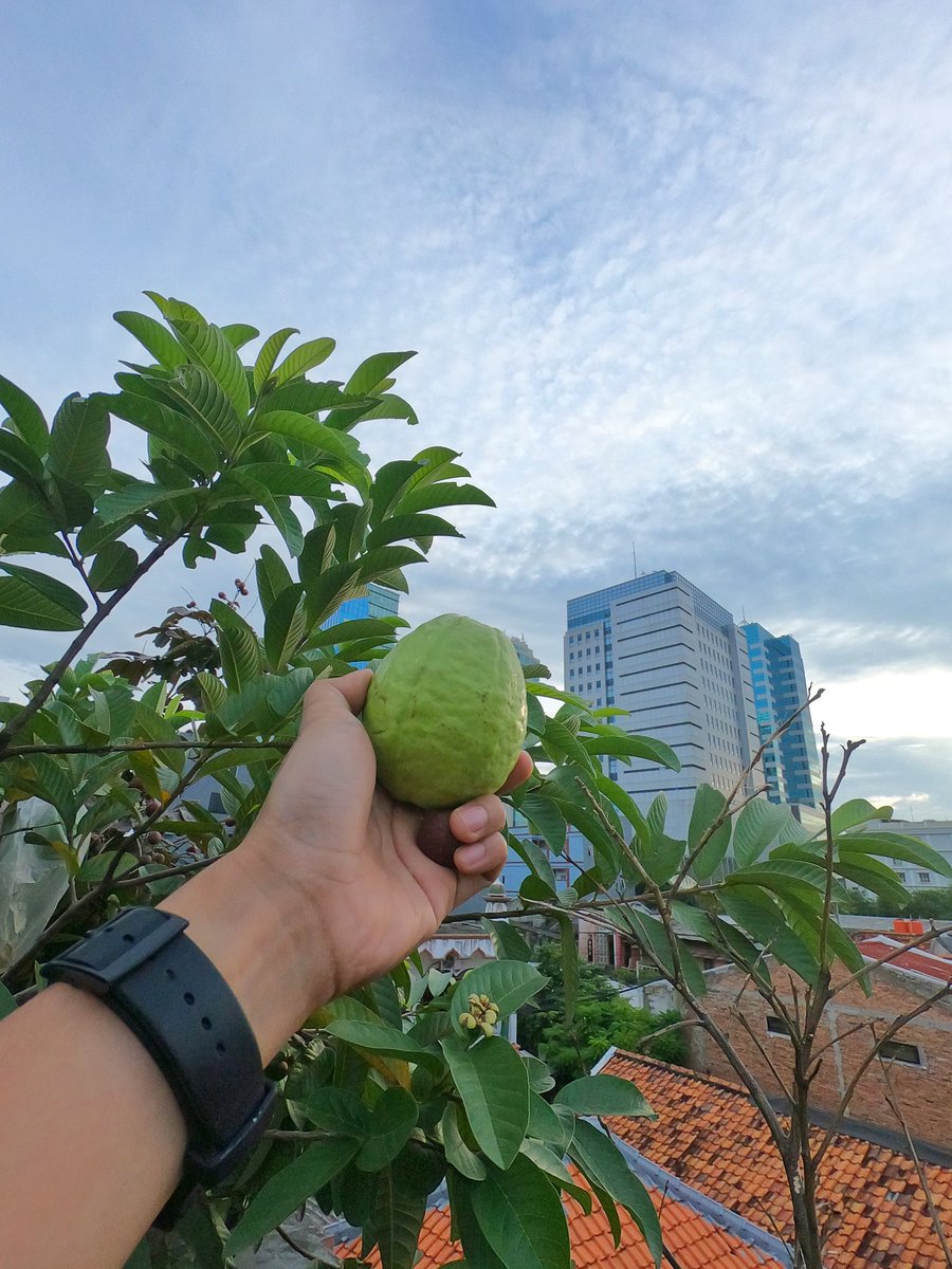 cuma bisa tweet media