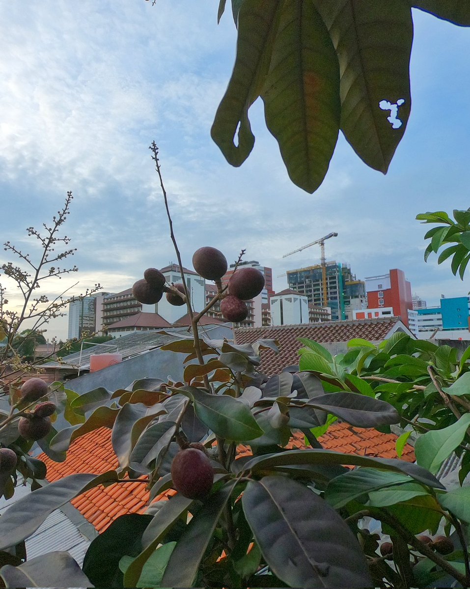 cuma bisa tweet media