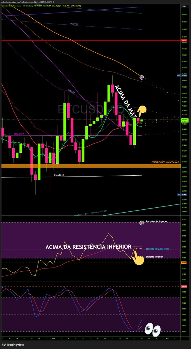 Dollynho tweet media