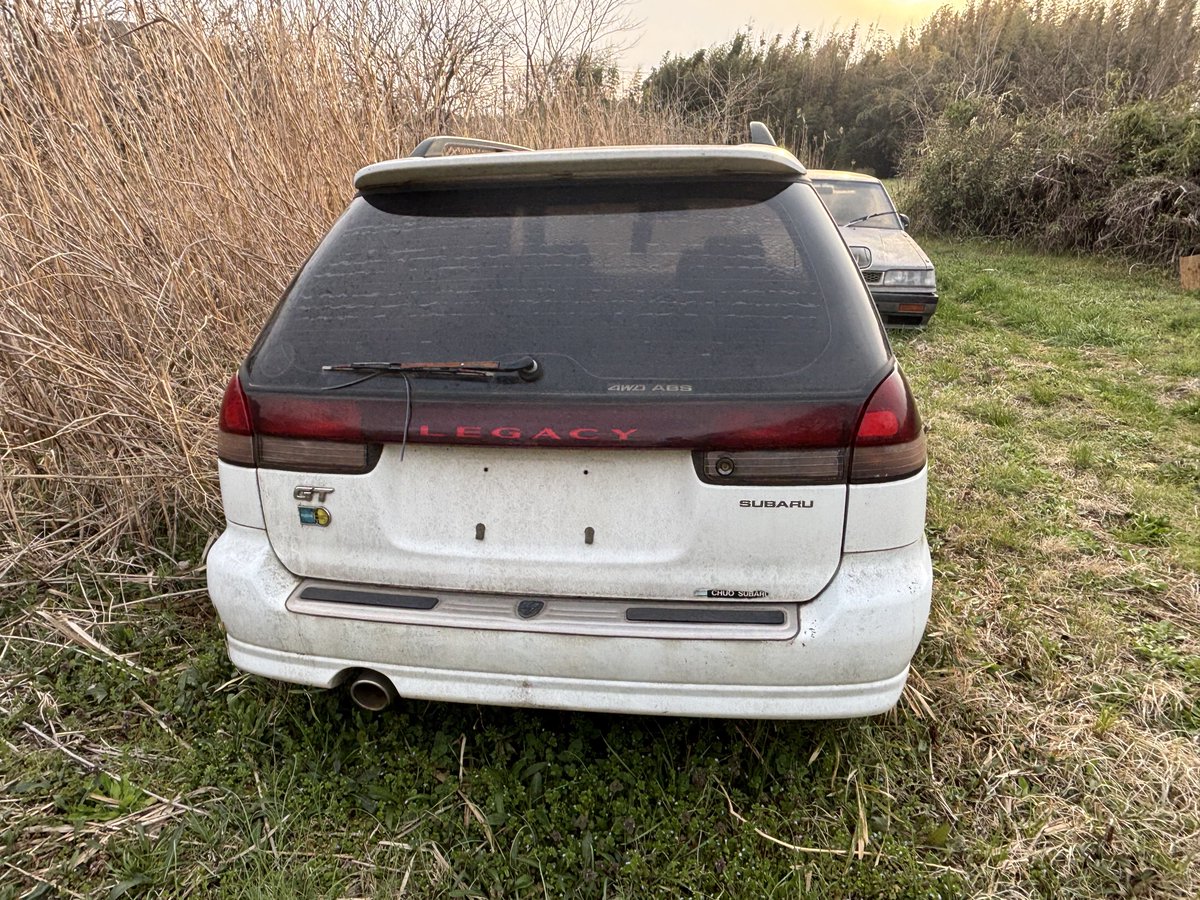 熊・ナックルボクサー🍸 🇧🇪#PV15 tweet media