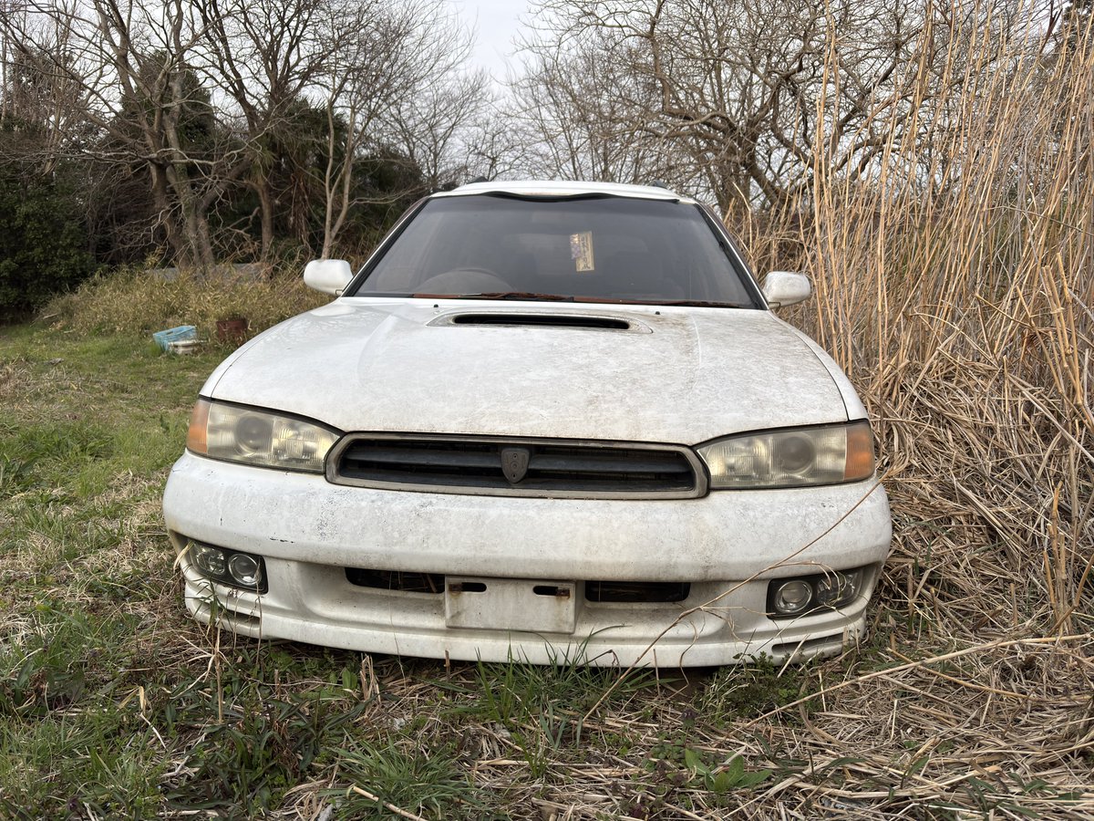 熊・ナックルボクサー🍸 🇧🇪#PV15 tweet media