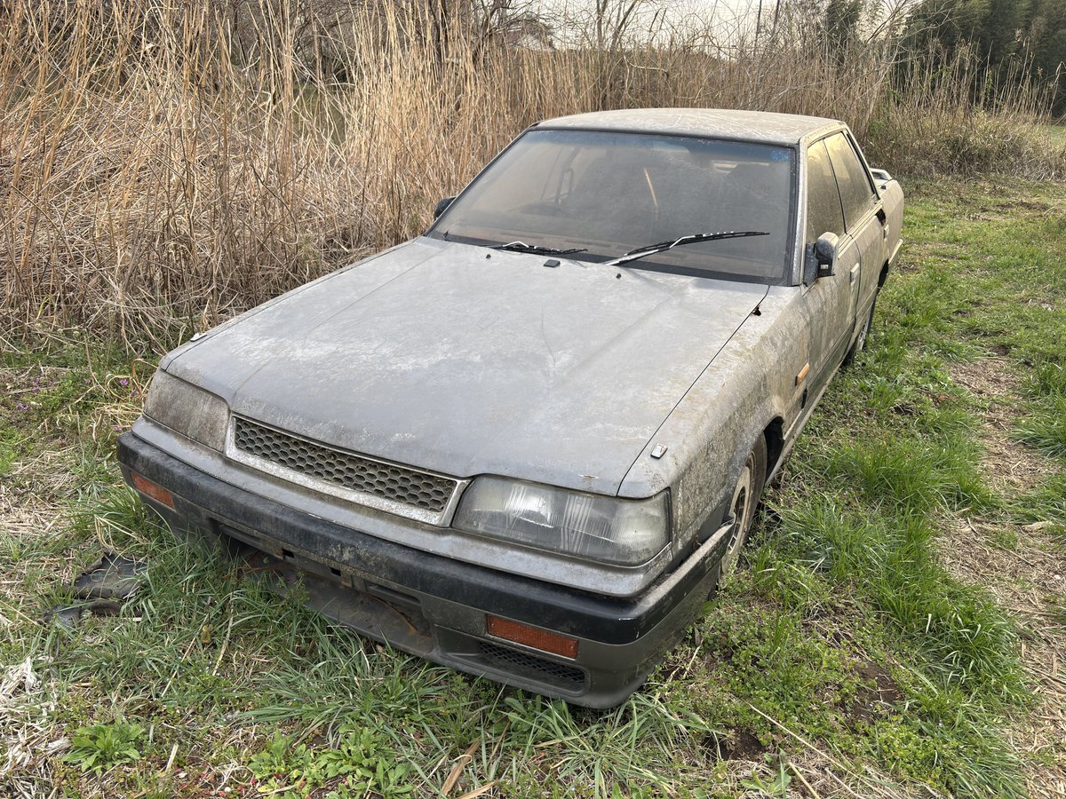 熊・ナックルボクサー🍸 🇧🇪#PV15 tweet media