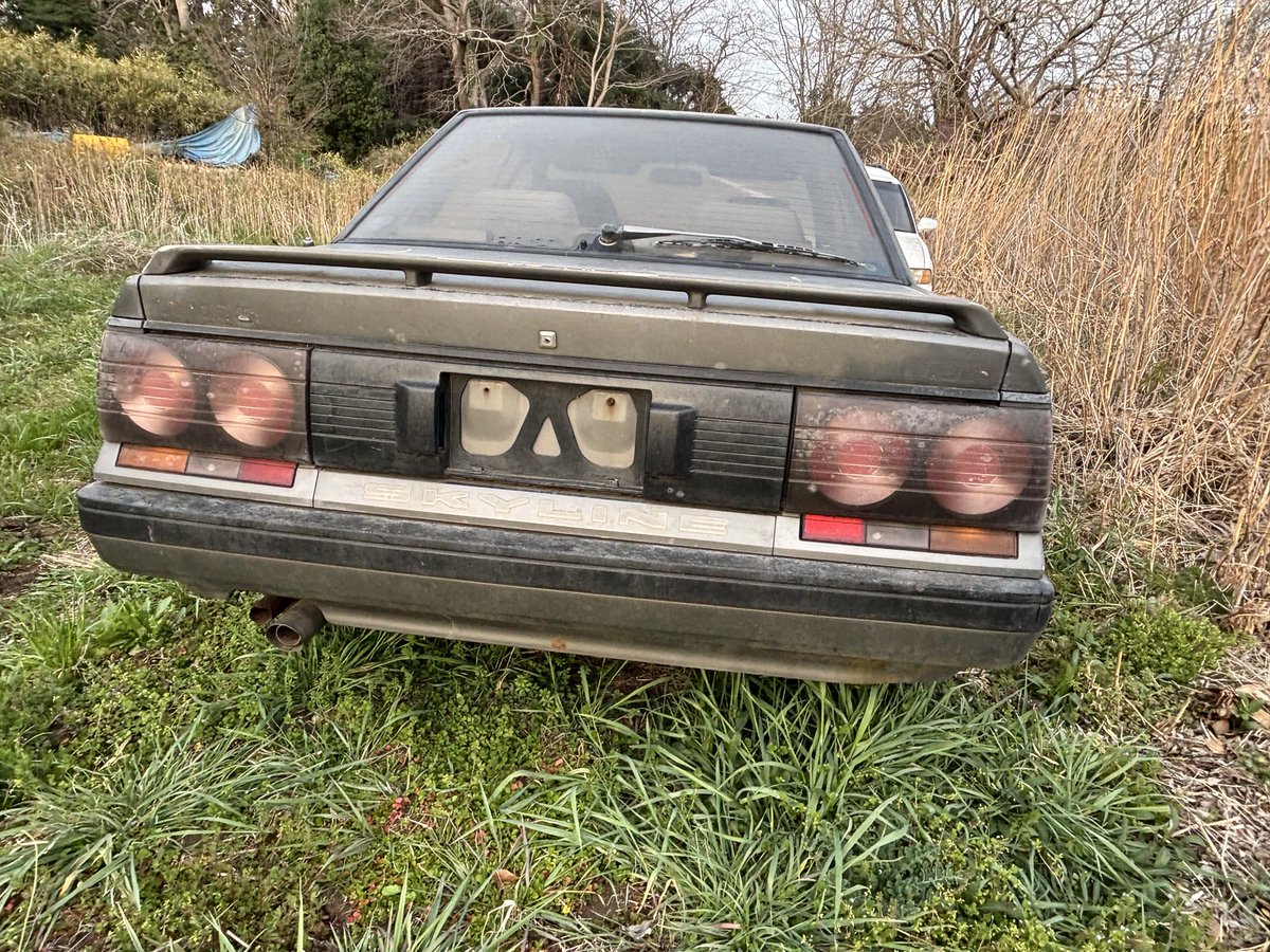 熊・ナックルボクサー🍸 🇧🇪#PV15 tweet media