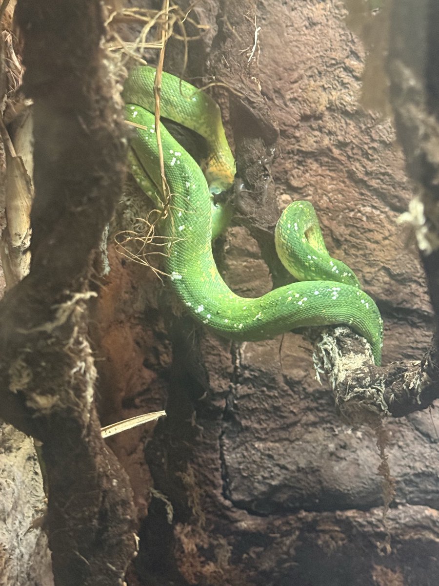 Tommy Vext tweet media