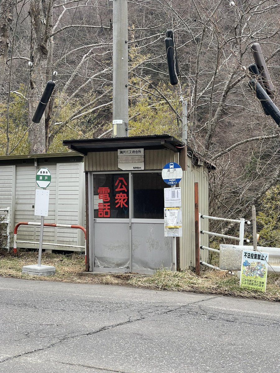 ばふぁろうず tweet media