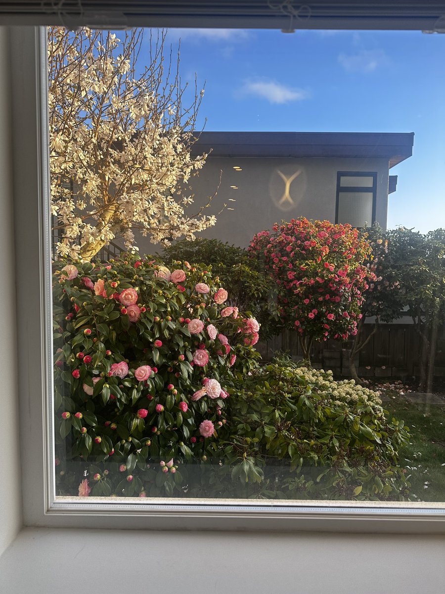 Free Mind tweet media