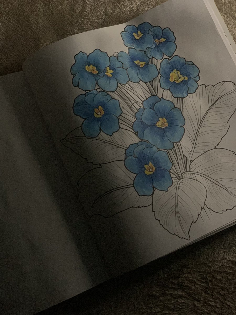 فاطمة tweet media