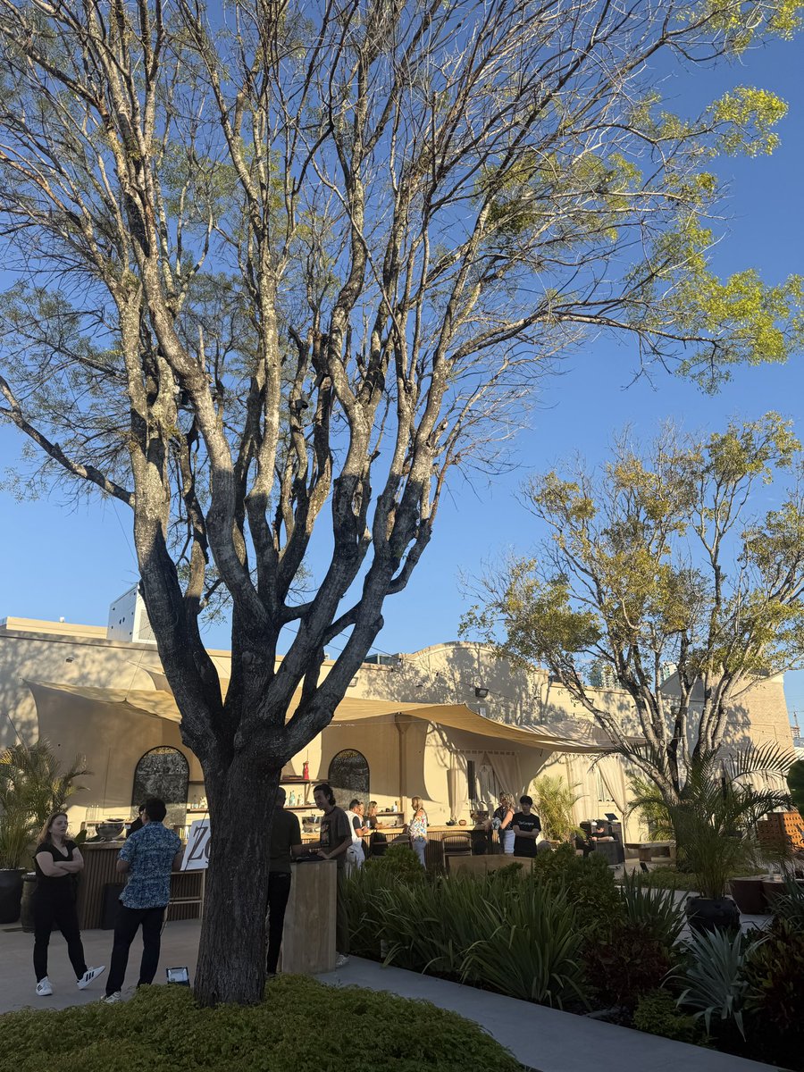 Zo Computer tweet media