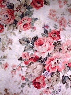 ≽^yo⩊yo^≼♡ tweet media