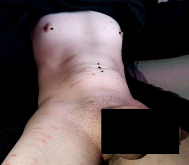 dmitri // shedtwt tweet media