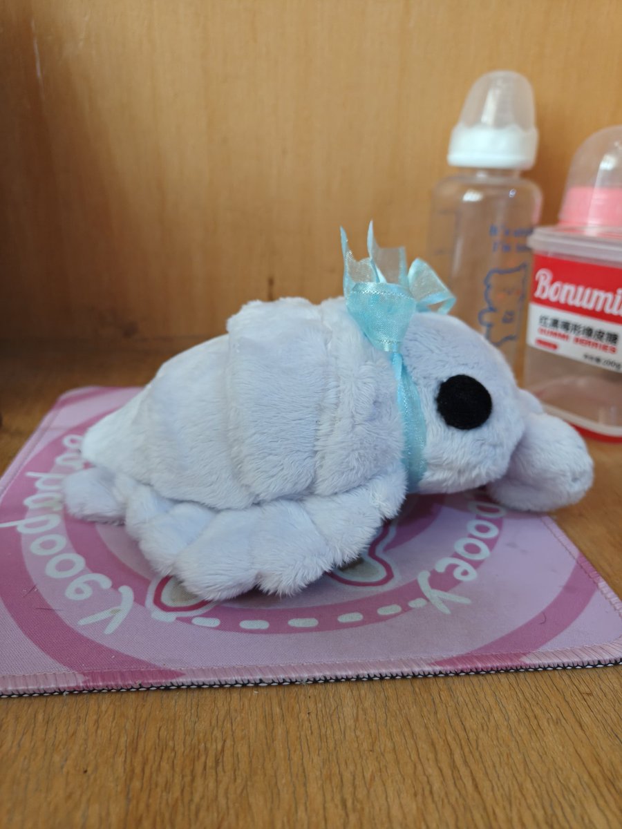 zaskGost tweet media