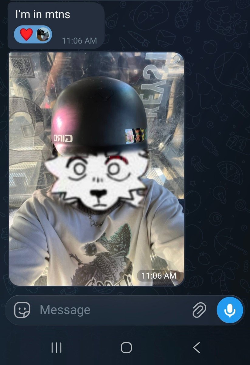 🐱Steel🐶 🔜 AC, SYD, GFM tweet media