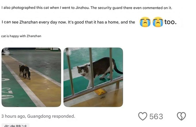 ৎ୭Luz🌸 tweet media