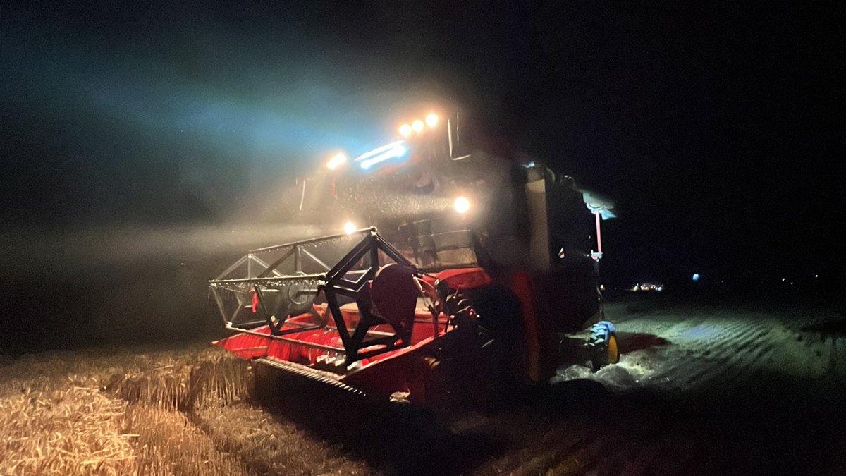 Explore Anhui tweet media