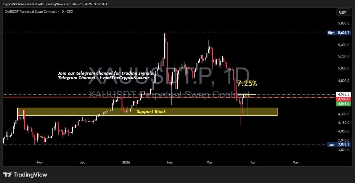 Crypto Nuclear tweet media