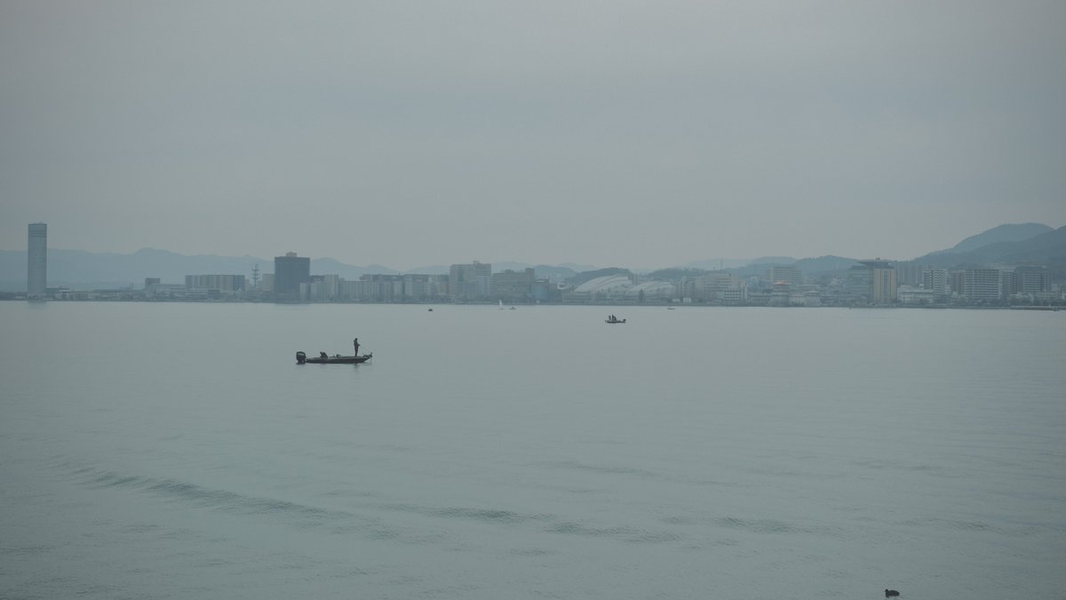 𝙢𝙞𝙞 tweet media