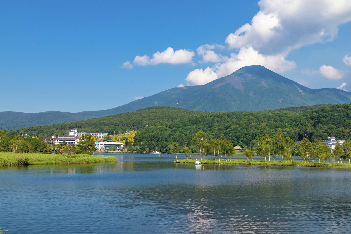 まっぷる編集部【公式】 tweet media