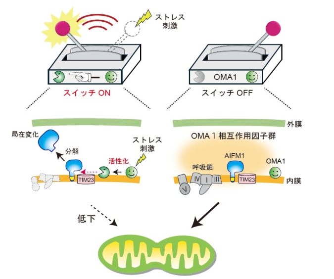 東京大学医科学研究所 tweet media