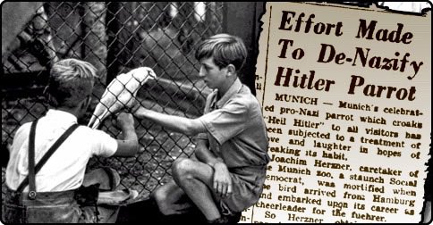 Sgt Steiner tweet media