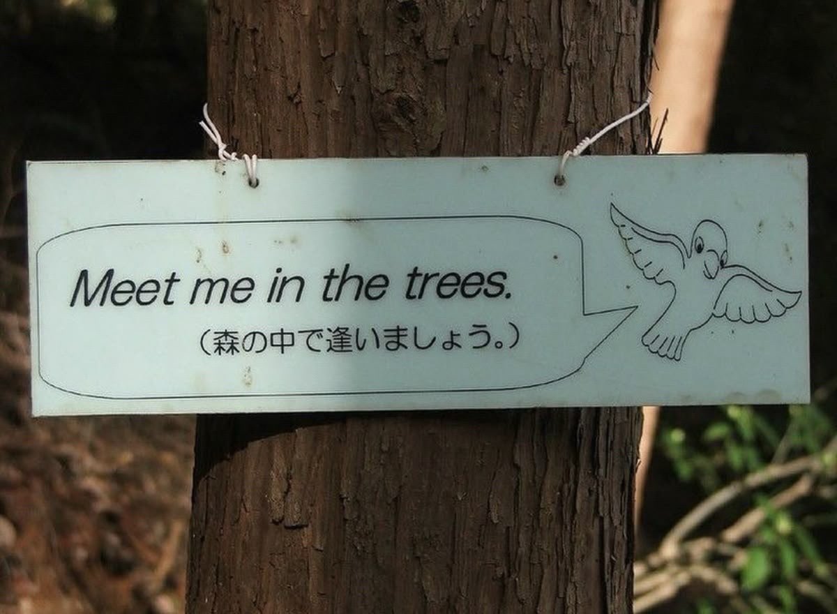 ⋆.·★ ℱₗₒᵣₐ ★·.⋆ tweet media