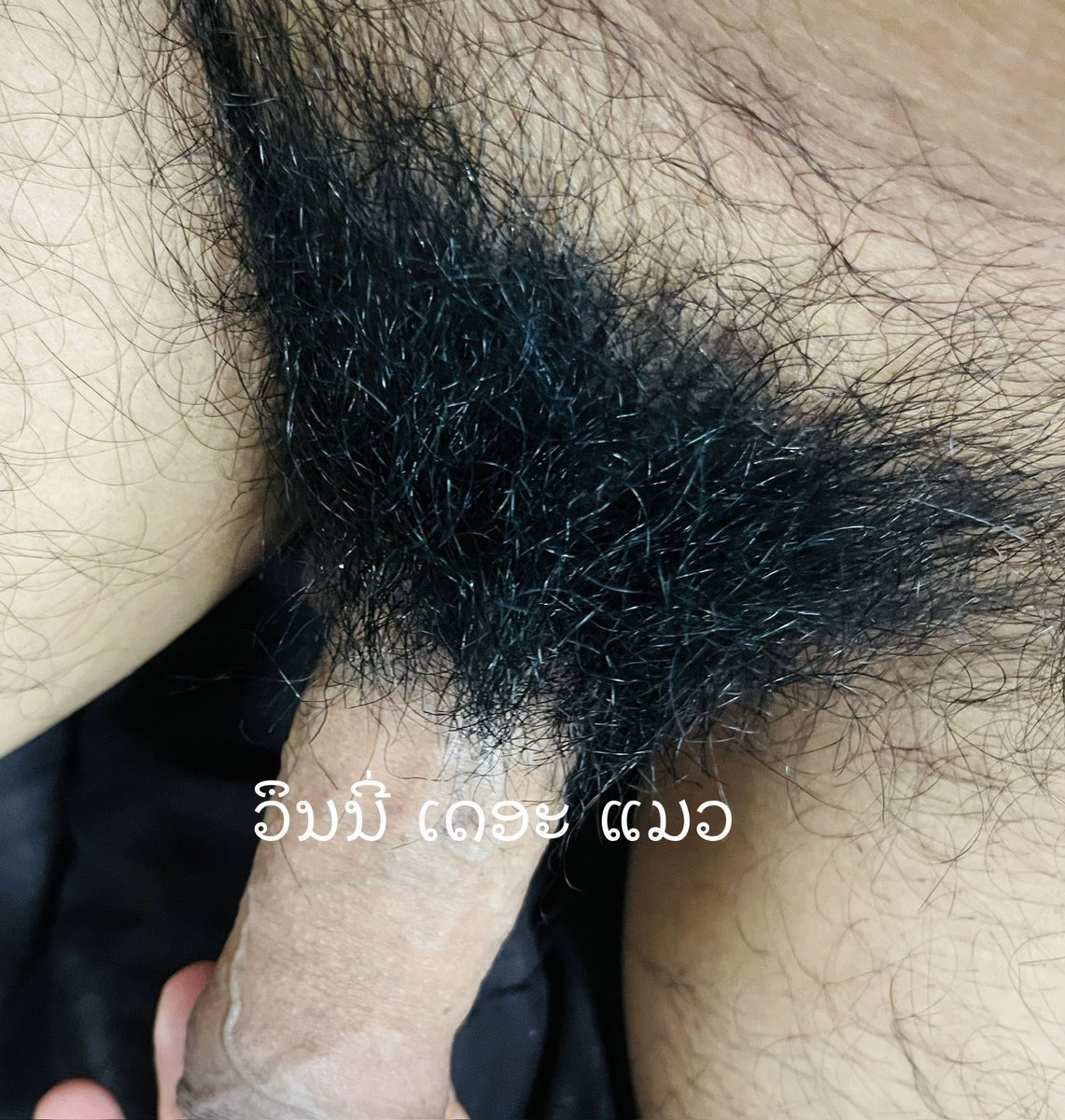 วินหนี้ ✪ เดอะ แมว tweet media