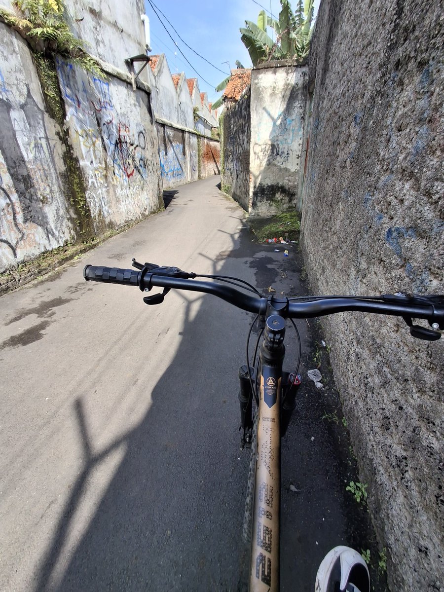 Lodii 🤩 tweet media