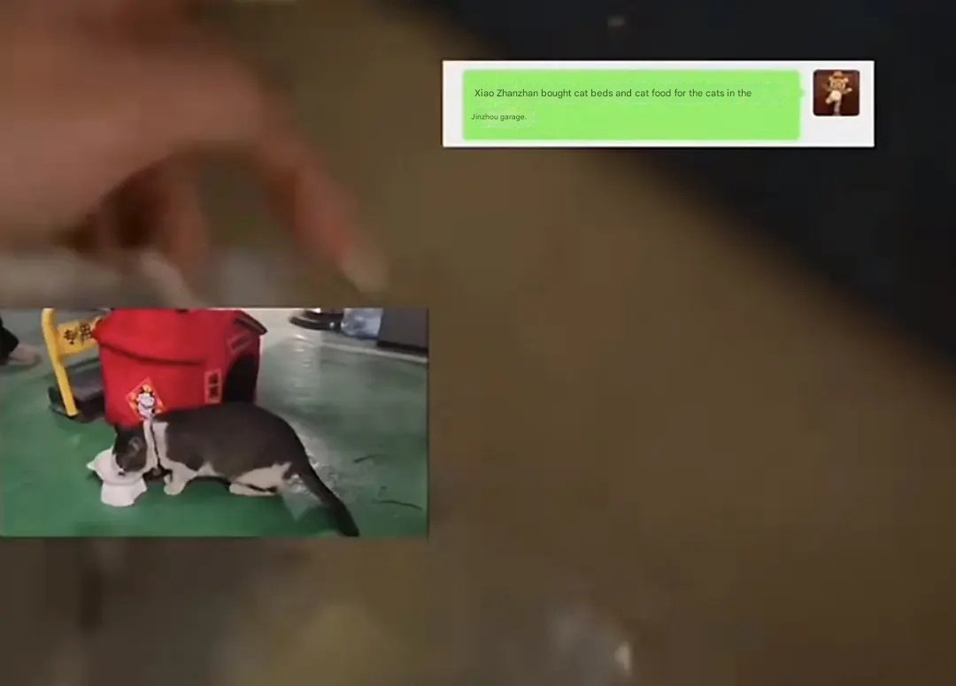 ৎ୭Luz🌸 tweet media