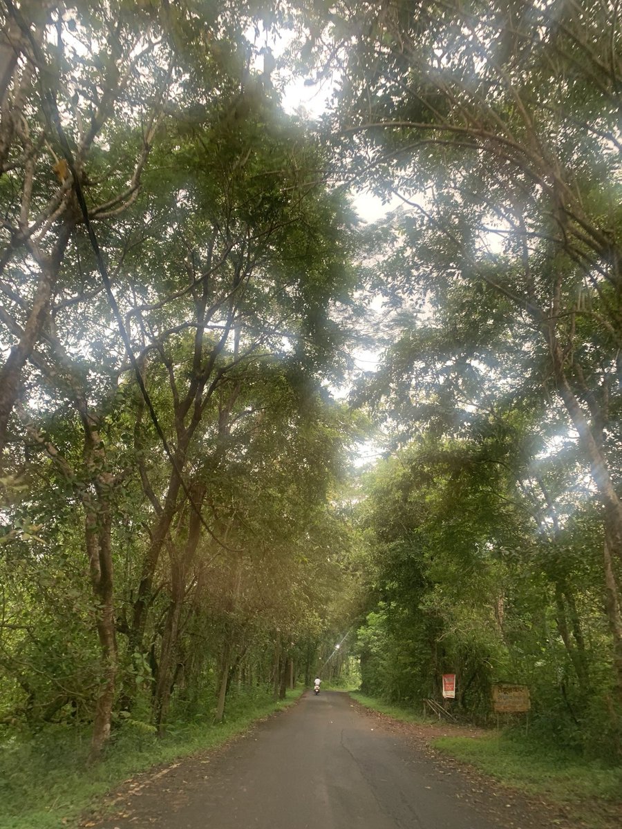 Pankaj Maheshwari🇮🇳 tweet media