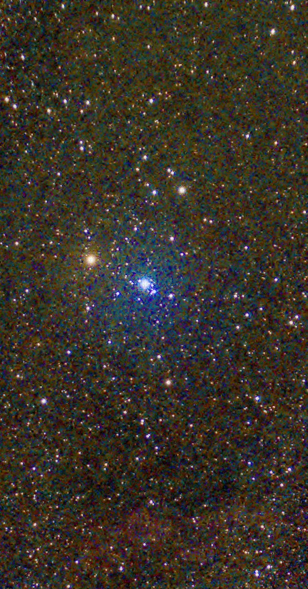 Anjuschka Prenzel tweet media