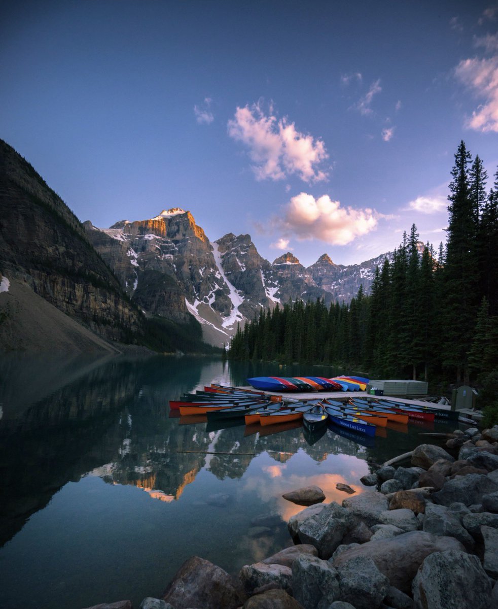 Matt Van Swol tweet media