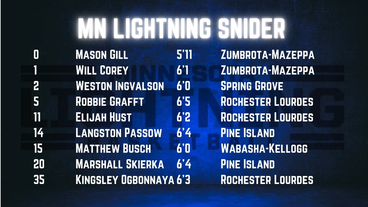 MN Lightning tweet media