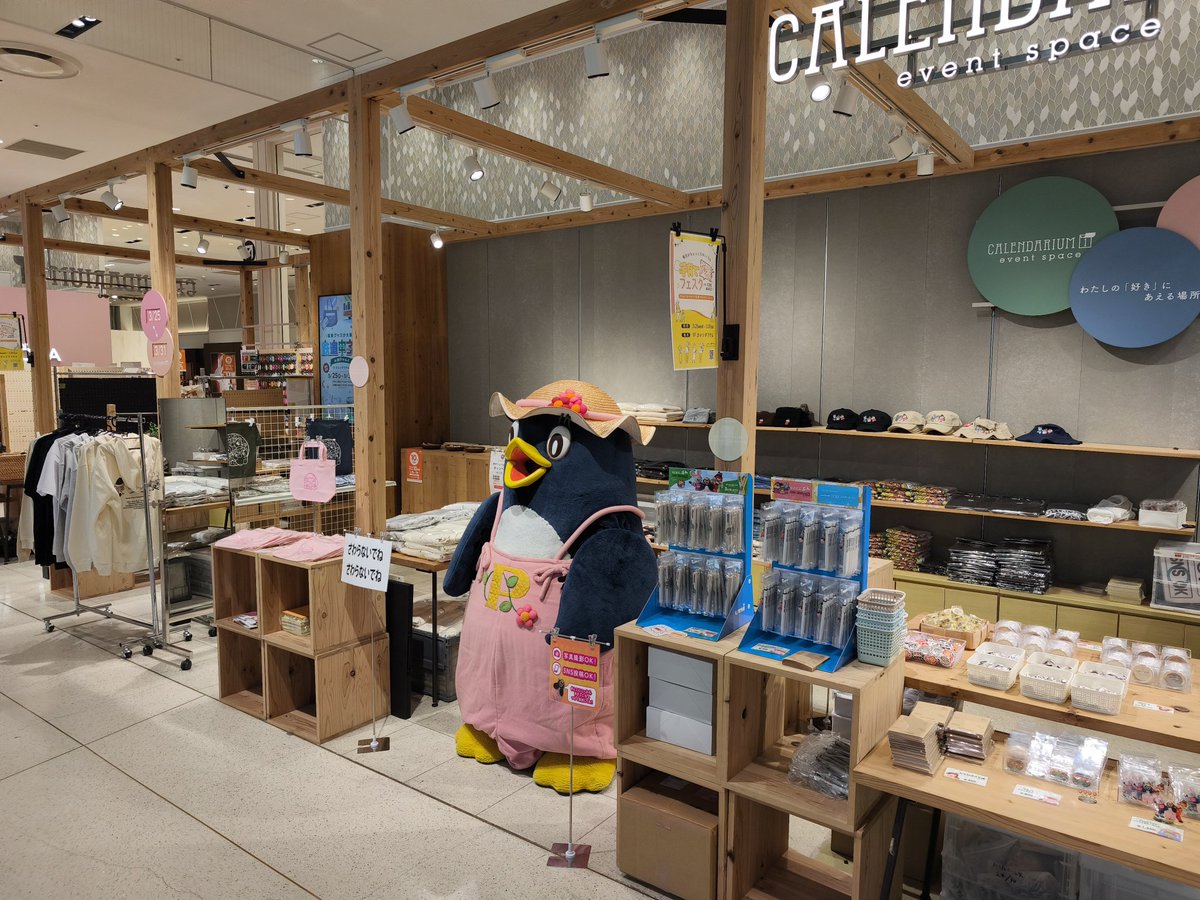 スタジオじゃぴぽ tweet media