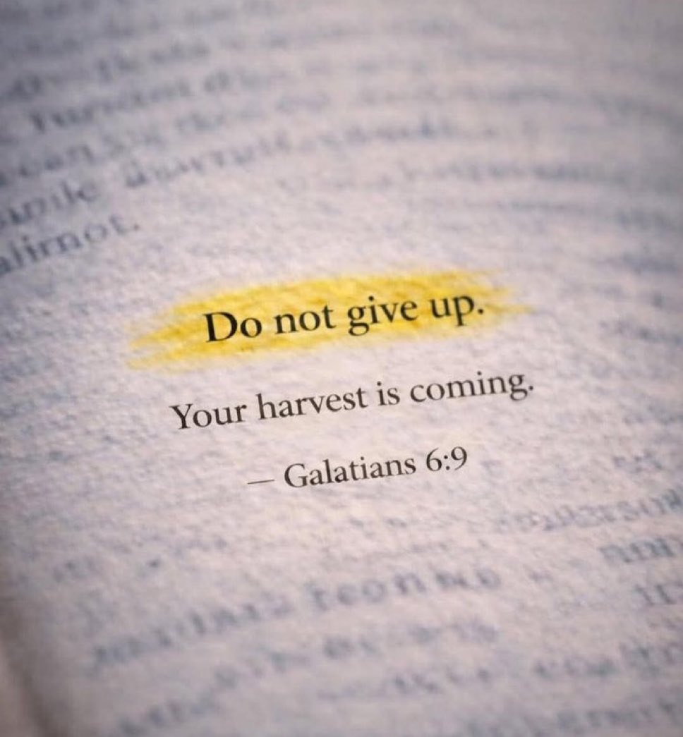 Jesvinquotes's tweet photo. GALATIANS 6:9 https://t.co/qarbgPxqMe