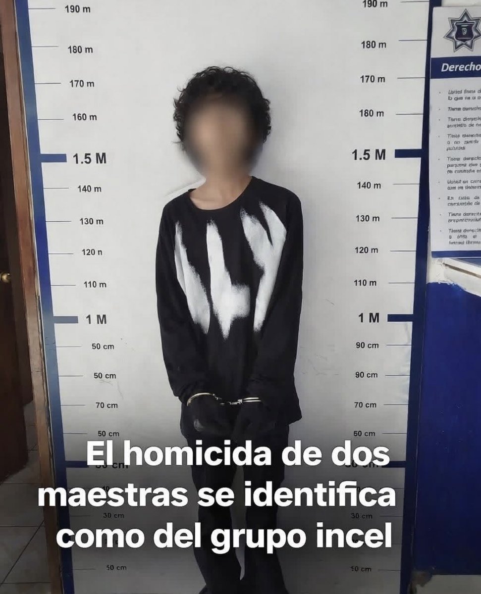 Renata Villarreal tweet media