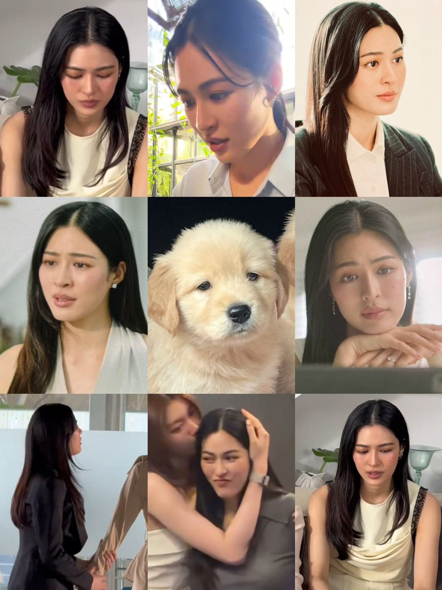 ภาพรวมวาดฝันวันพิจ๋อง: