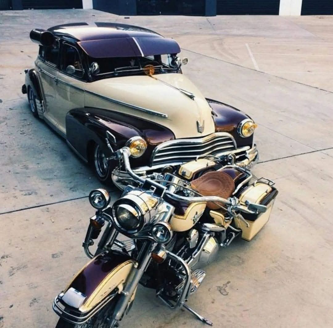 Willy Coyote 5.0 tweet media