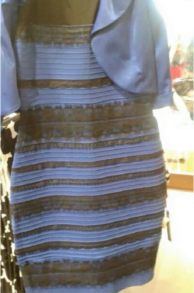 marlvswonie • ENHYPEN IS 7 tweet media