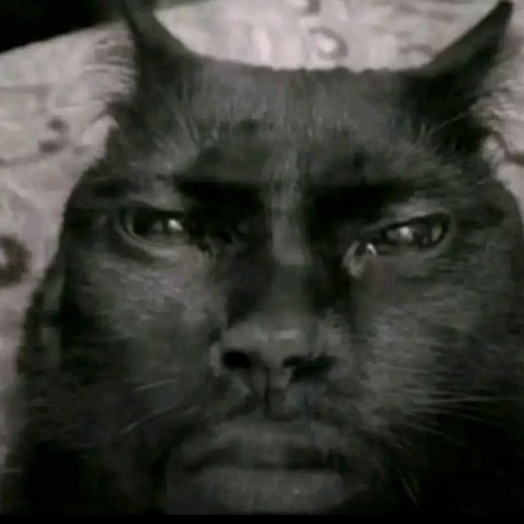 20 minutos q Santiago se fue de mi casa dios como voy a superar dormir sola hoy con frio (toda la semana dormimos juntos) dios le da las peores batallas a sus mejores guerreros aaaaaa
q puta pesada
te amo mi amor🗣