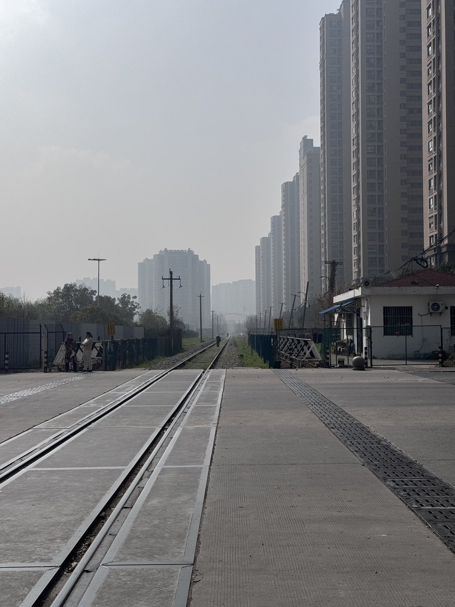 狗富贵 tweet media