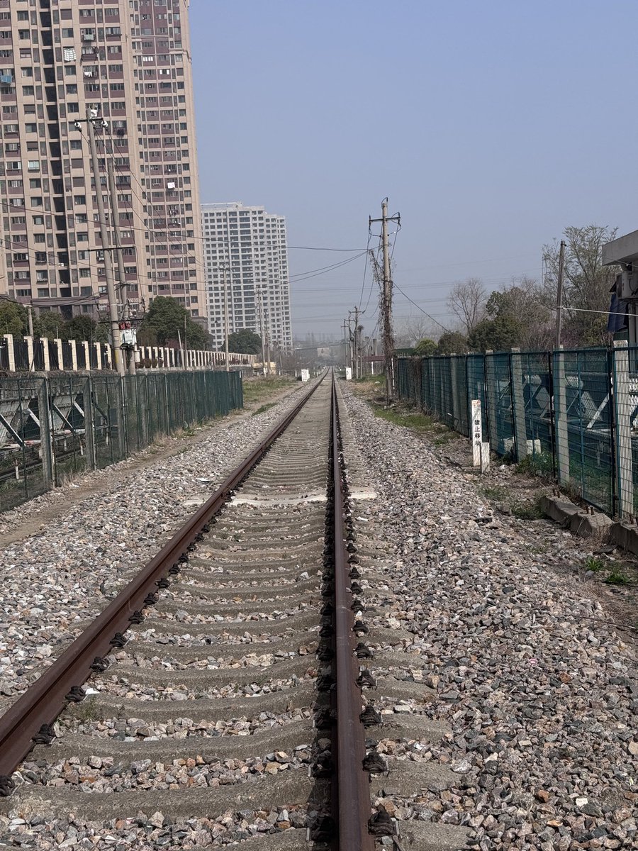 狗富贵 tweet media