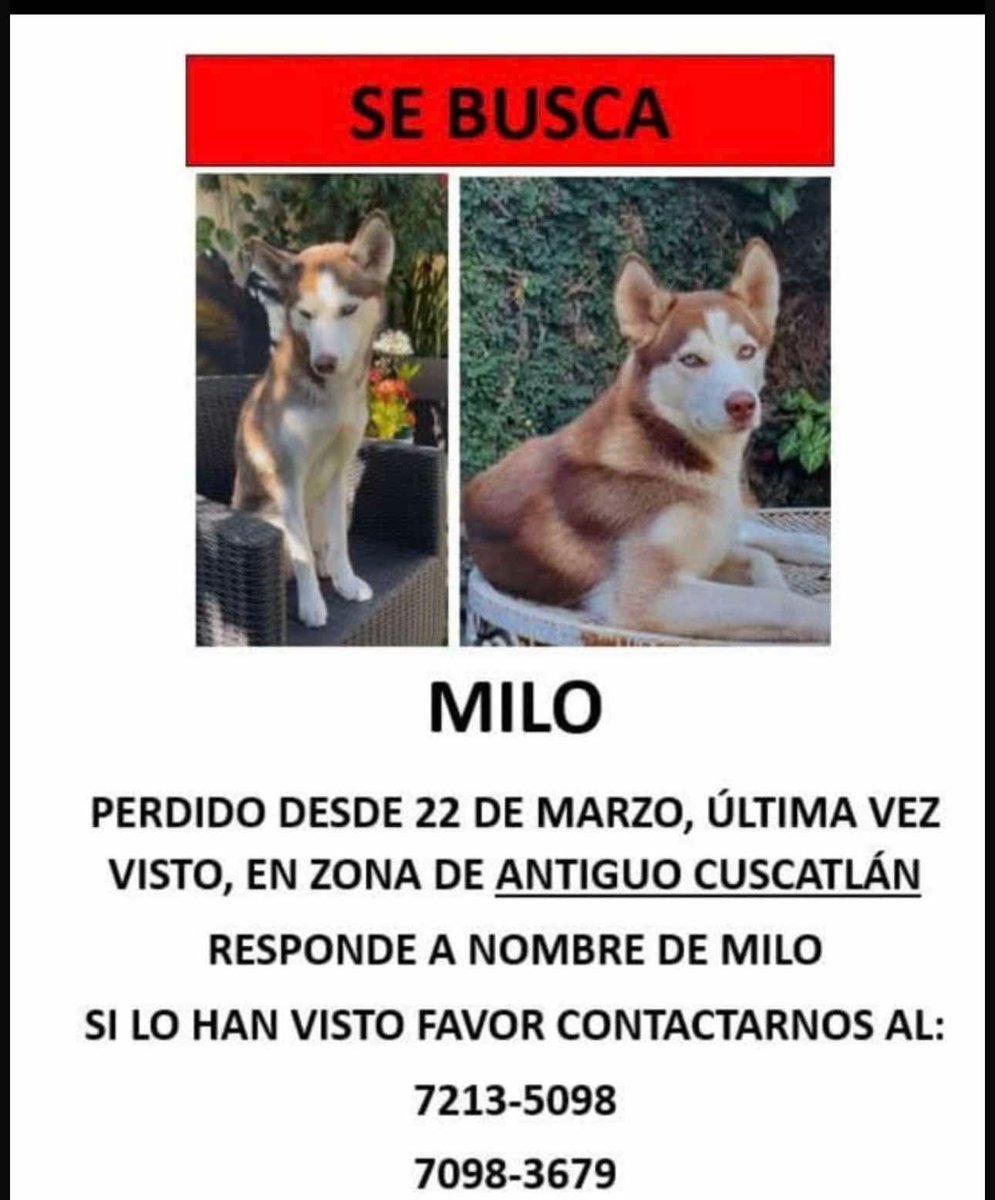 Lyss 🇸🇻 tweet media